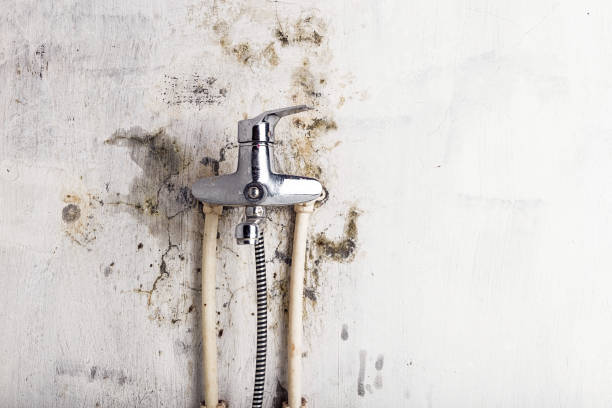 Best Water Damage Restoration  in Hilliard, OH