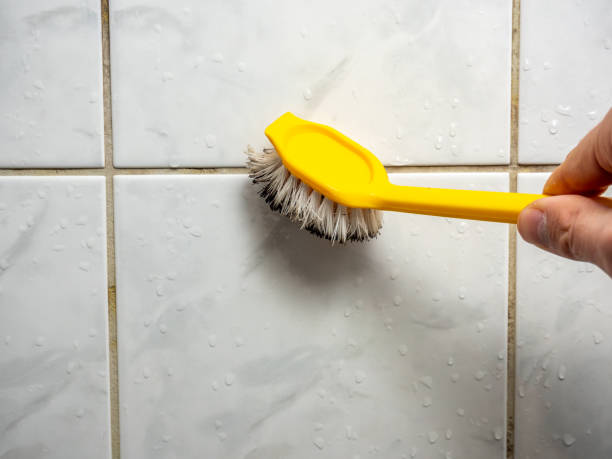 Best Home Mold Removal  in Hilliard, OH