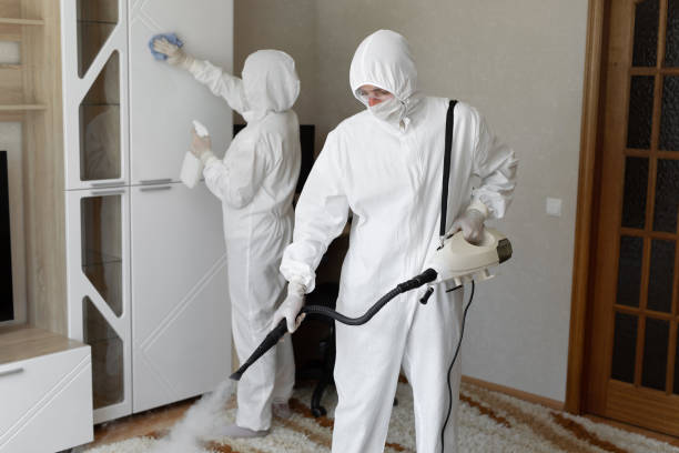 Best Residential Mold Removal  in Hilliard, OH