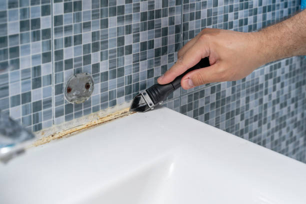 Best Mold Removal Company Near Me  in Hilliard, OH
