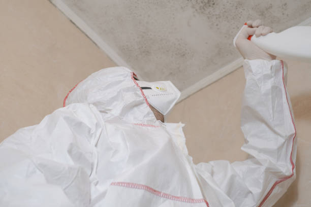 Best Mold Cleaning Services  in Hilliard, OH