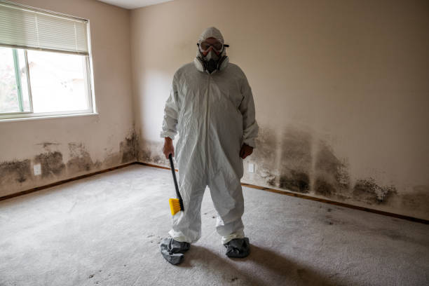 Best Home Mold Removal  in Hilliard, OH